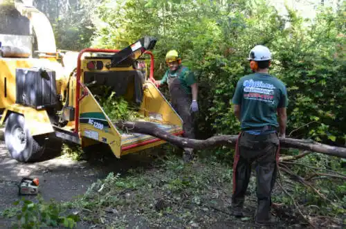 tree services Mendon